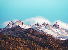 总决赛蒂姆“三盘见7”胜德约 携生涯300胜晋级决赛